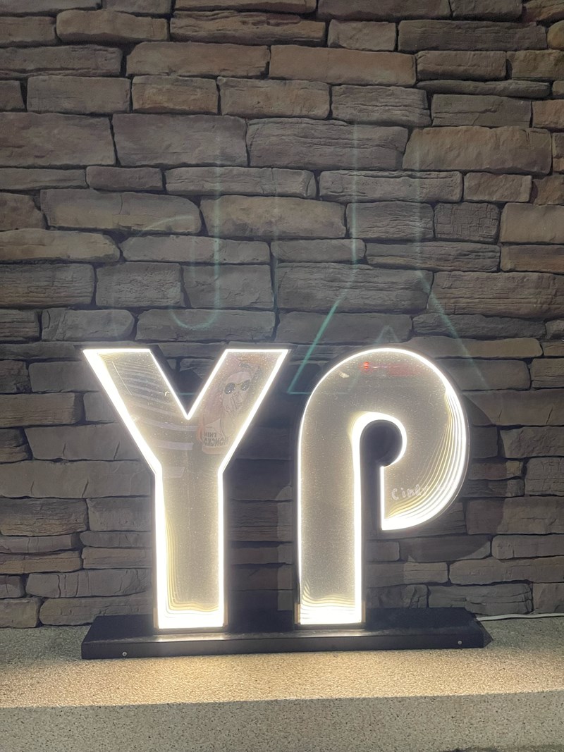 [生活]燈具安裝DIY三防吸頂燈【YP燈飾彰化門市】Cind